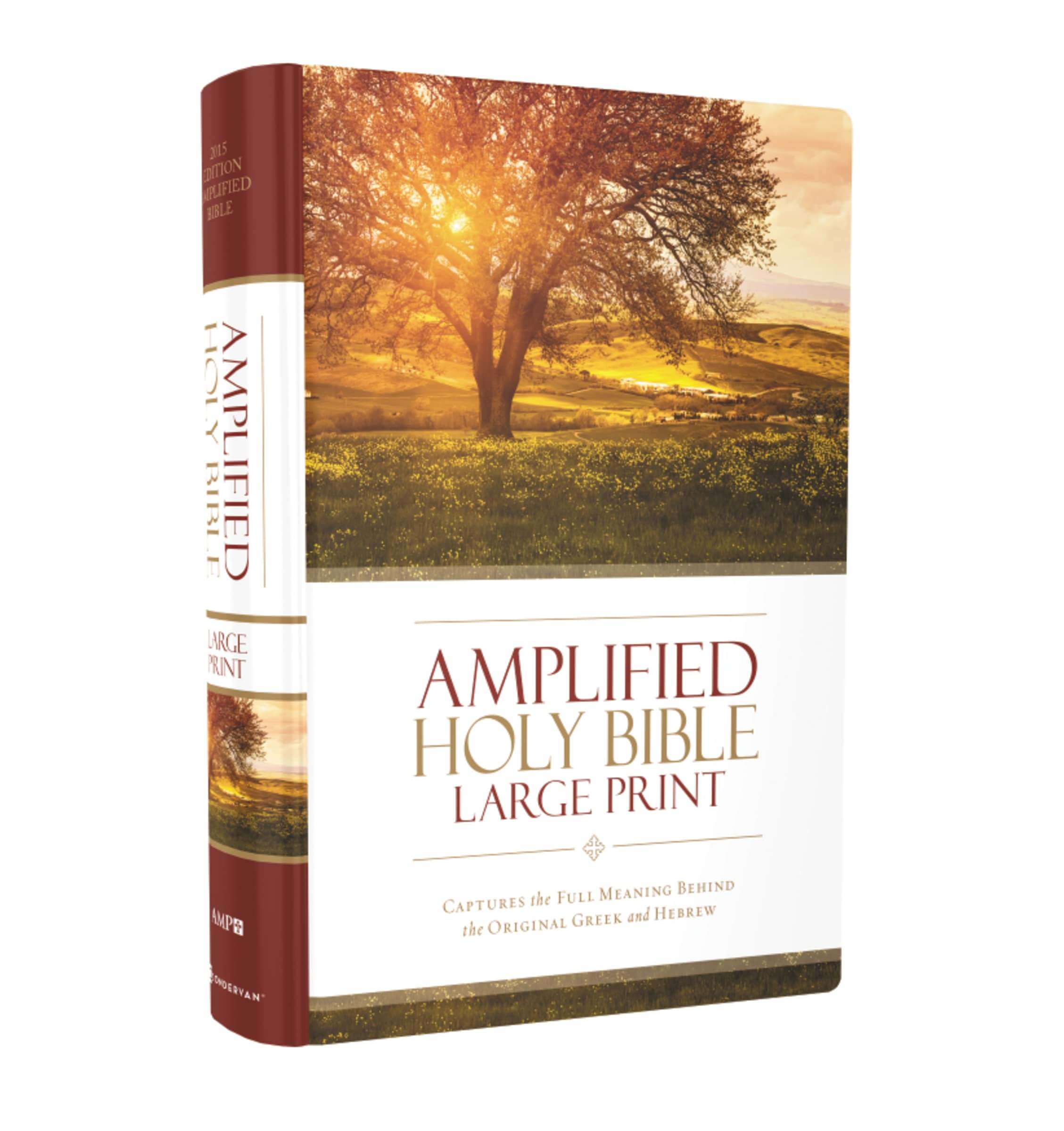 Amplified Holy Bible, Large Print, Hardcover: Captures the Full Meaning Behind the Original Greek and Hebrew used book depot