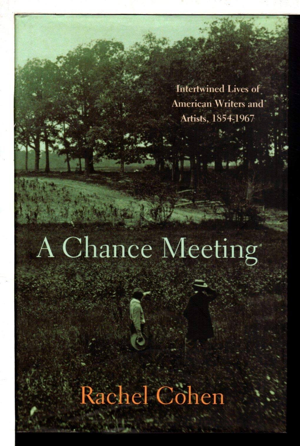 A Chance Meeting : Intertwined Lives of American Writers and Artists, 1854-1967 used book depot