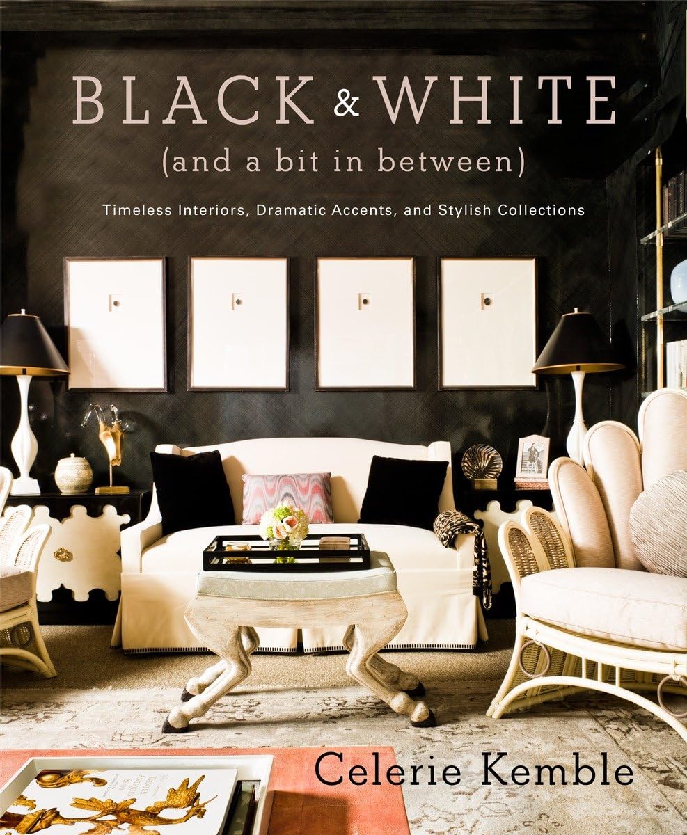 Black and White (and a Bit in Between): Timeless Interiors, Dramatic Accents, and Stylish Collections used book depot