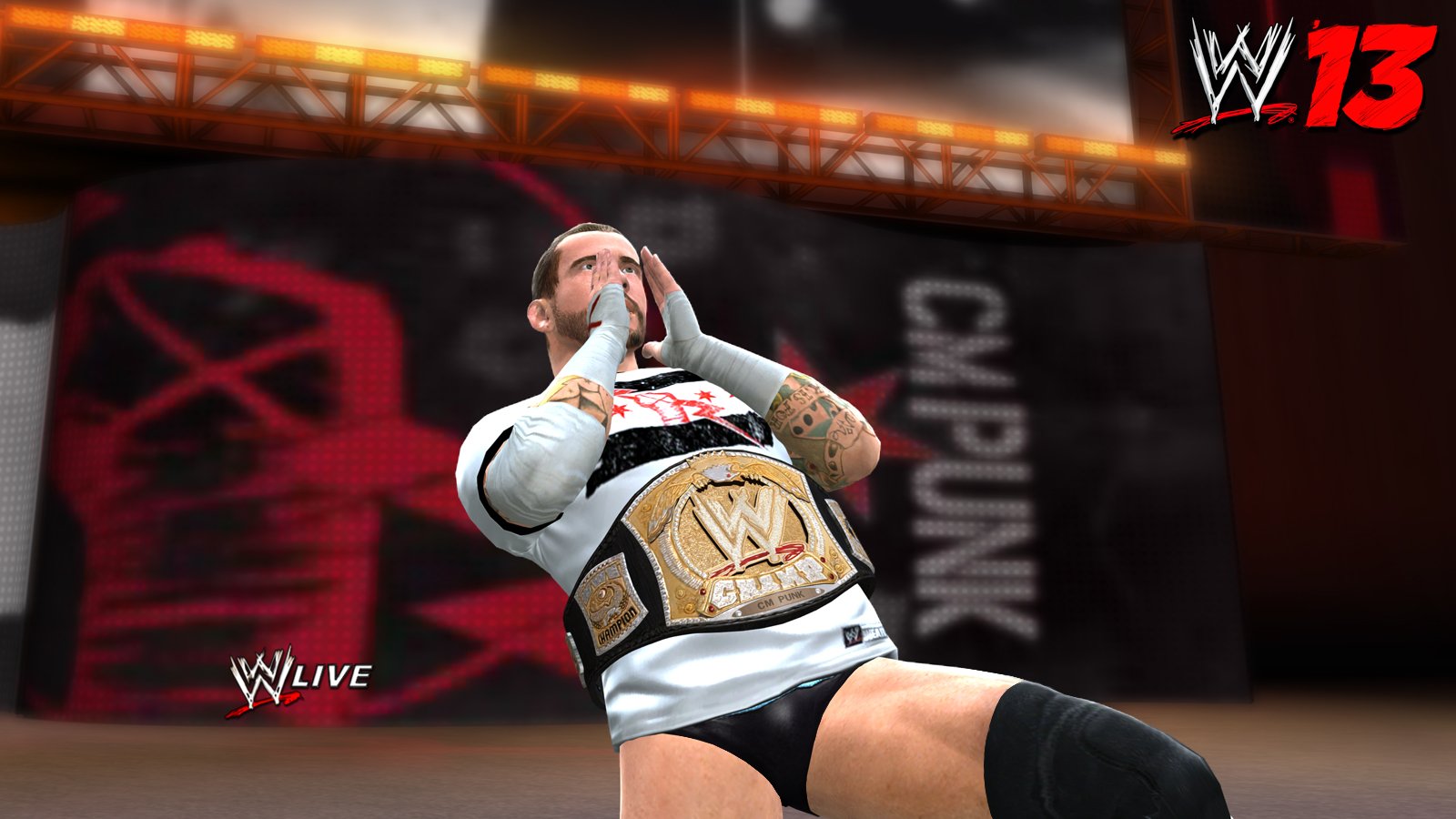 WWE '13 used book depot