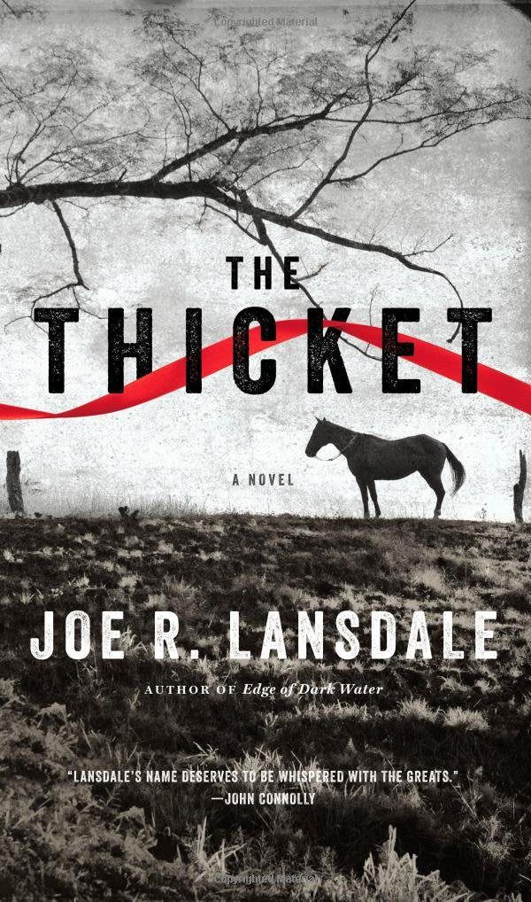 The Thicket used book depot