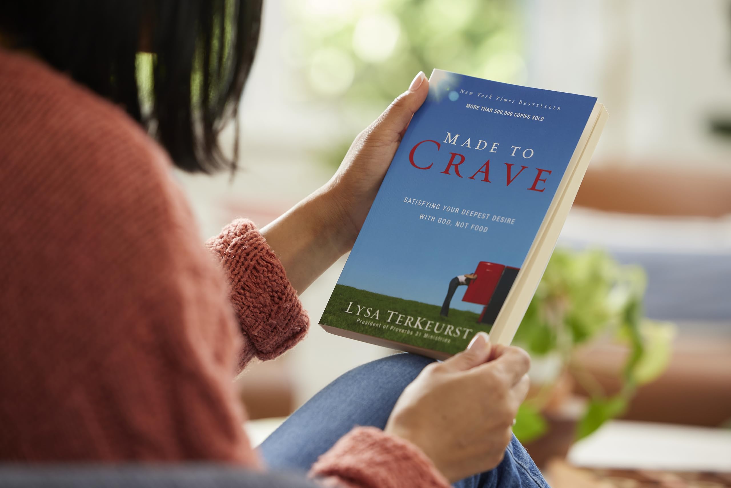 Made to Crave: Satisfying Your Deepest Desire with God, Not Food used book depot