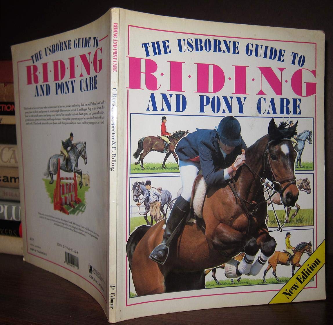 The Usborne Guide to Riding and Pony Care used book depot