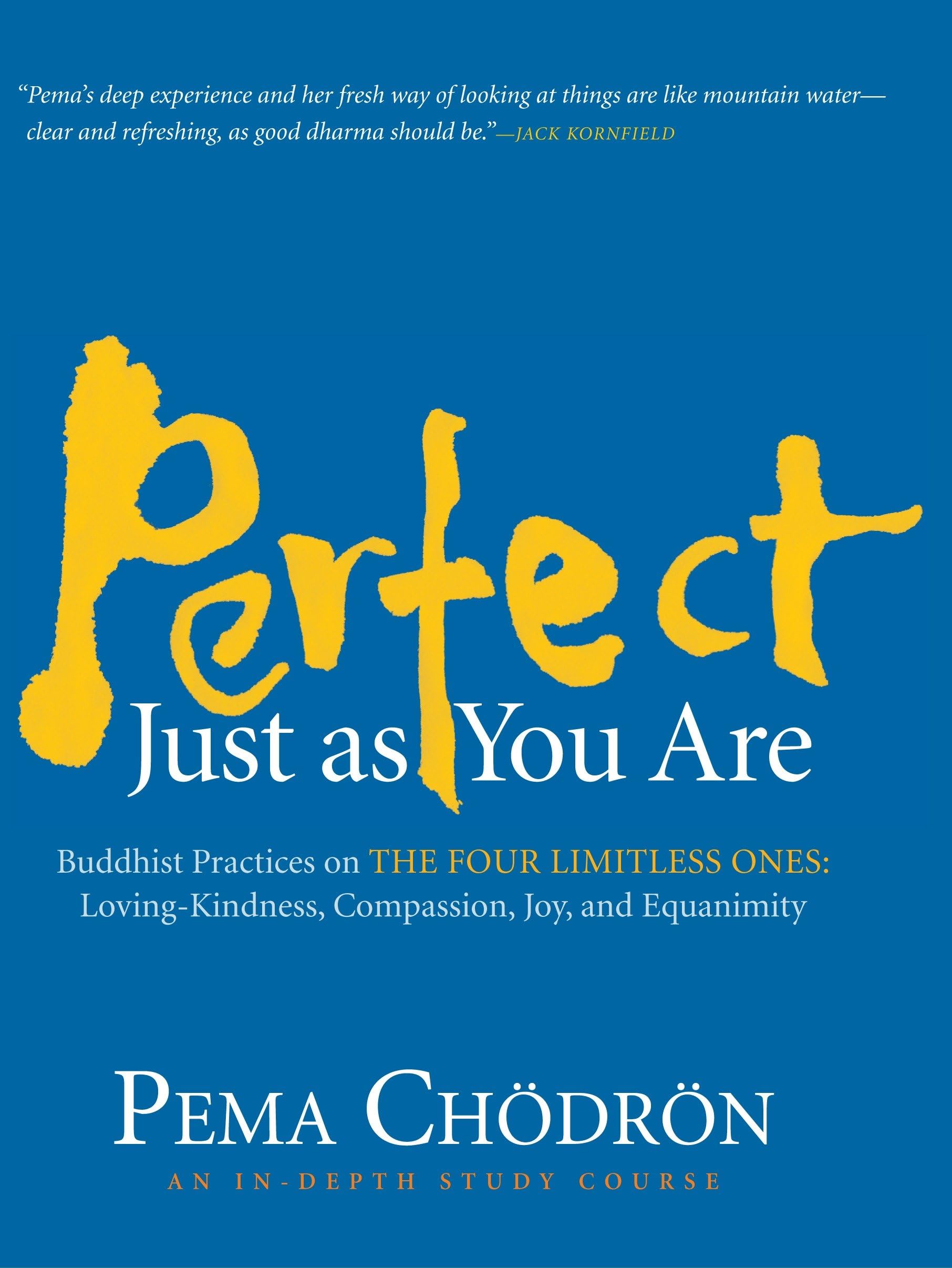 Perfect Just as You Are: Buddhist Practices on the Four Limitless Ones--Loving-Kindness, Compassion, Joy,and Equanimity used book depot
