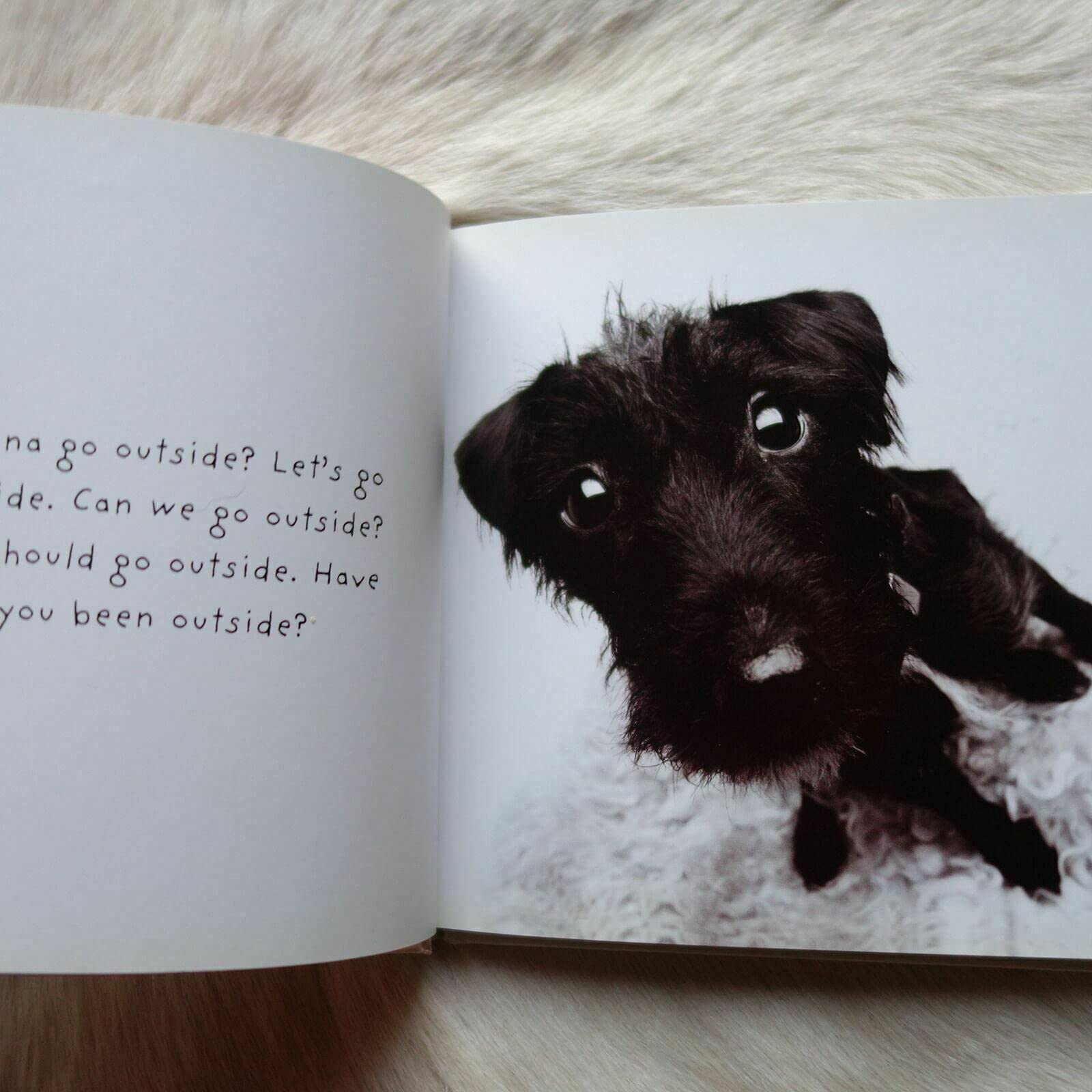 If Dogs Could Talk: Tongues Unleashed! used book depot