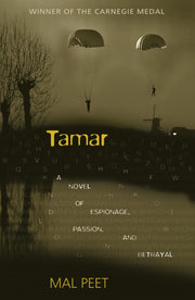 Tamar: A Novel of Espionage, Passion, and Betrayal used book depot