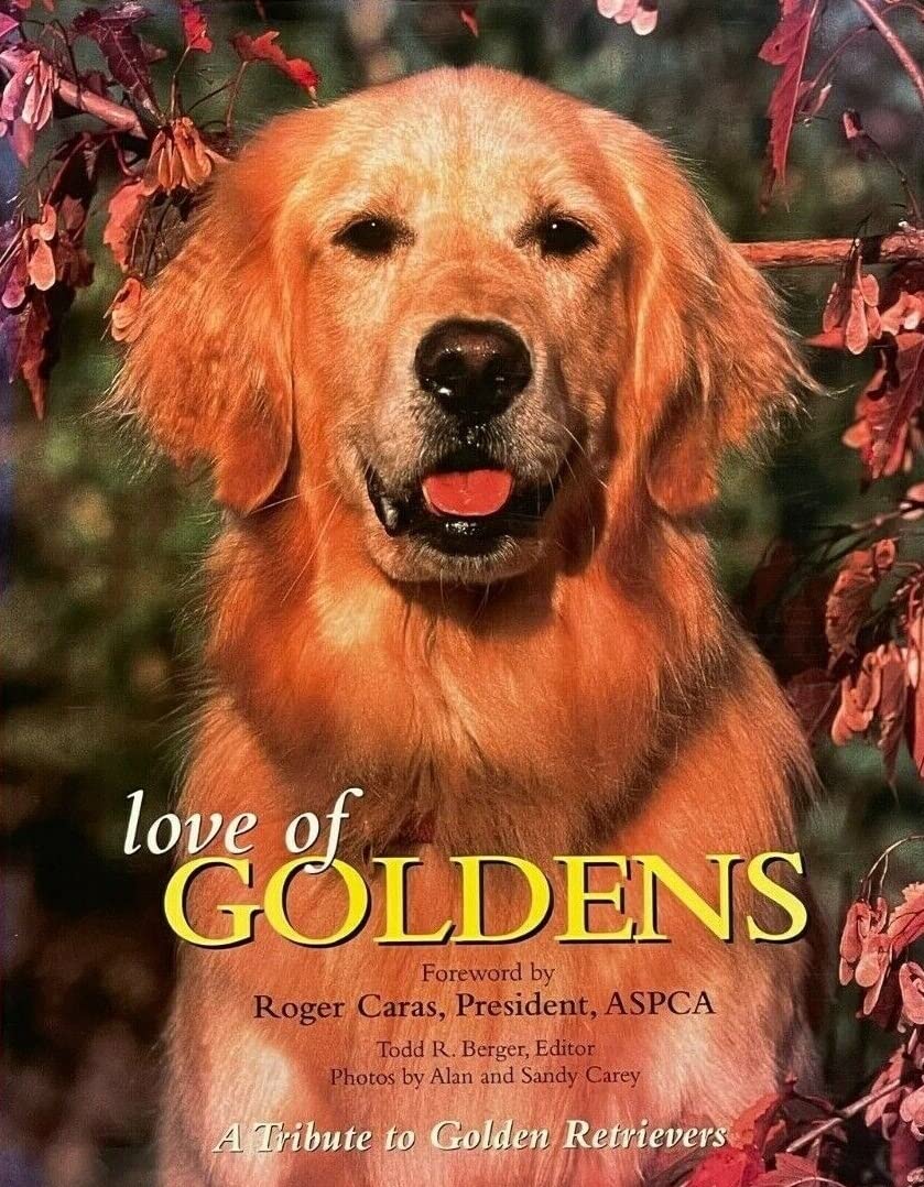 Love of Goldens: The Ultimate Tribute to Golden Retrievers used book depot