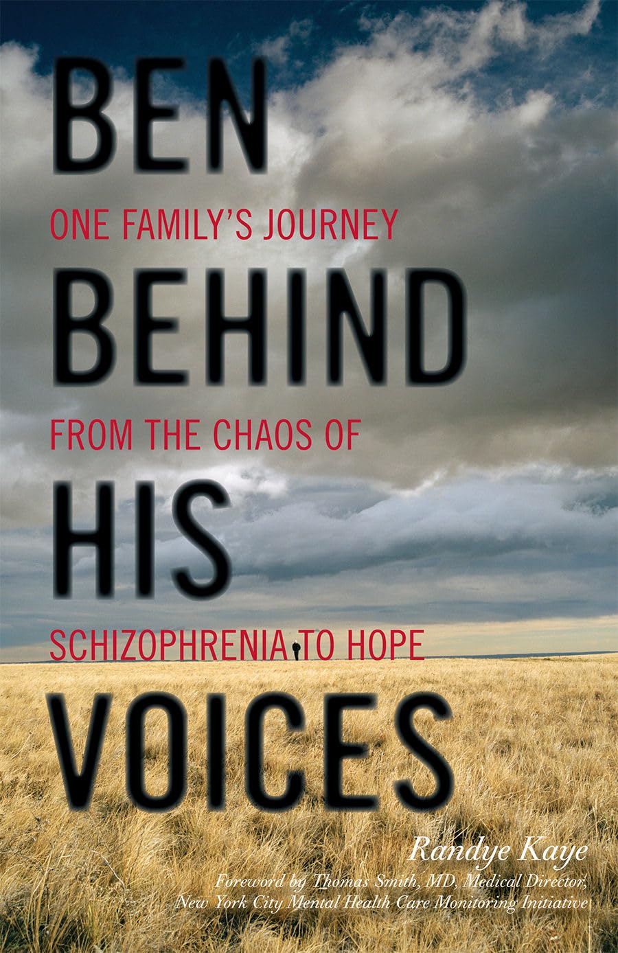 Ben Behind His Voices: One Family's Journey from the Chaos of Schizophrenia to Hope used book depot