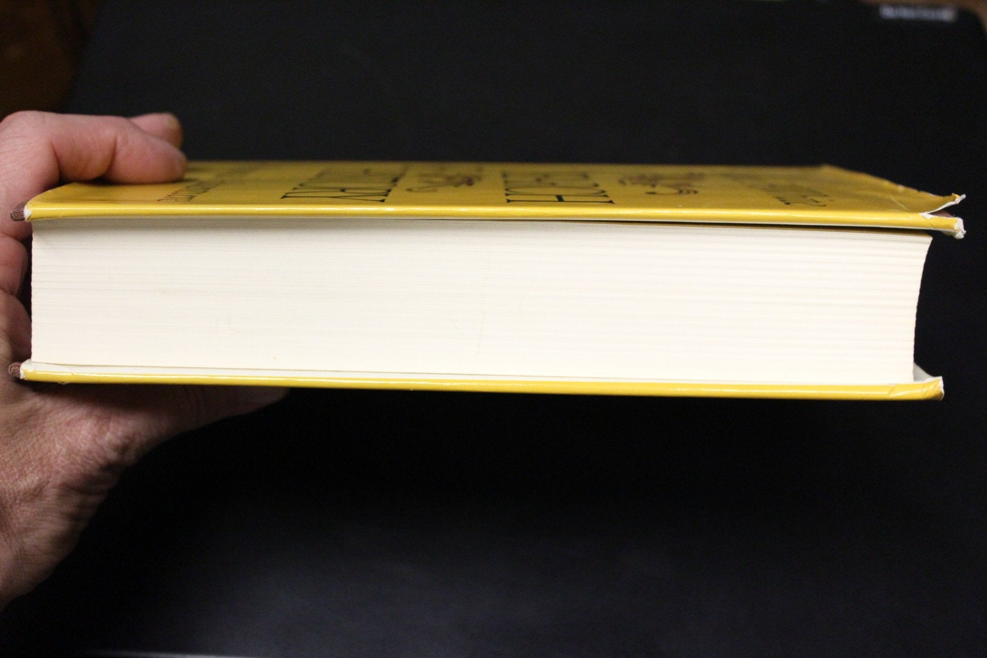 In Search of History: A Personal Adventure used book depot