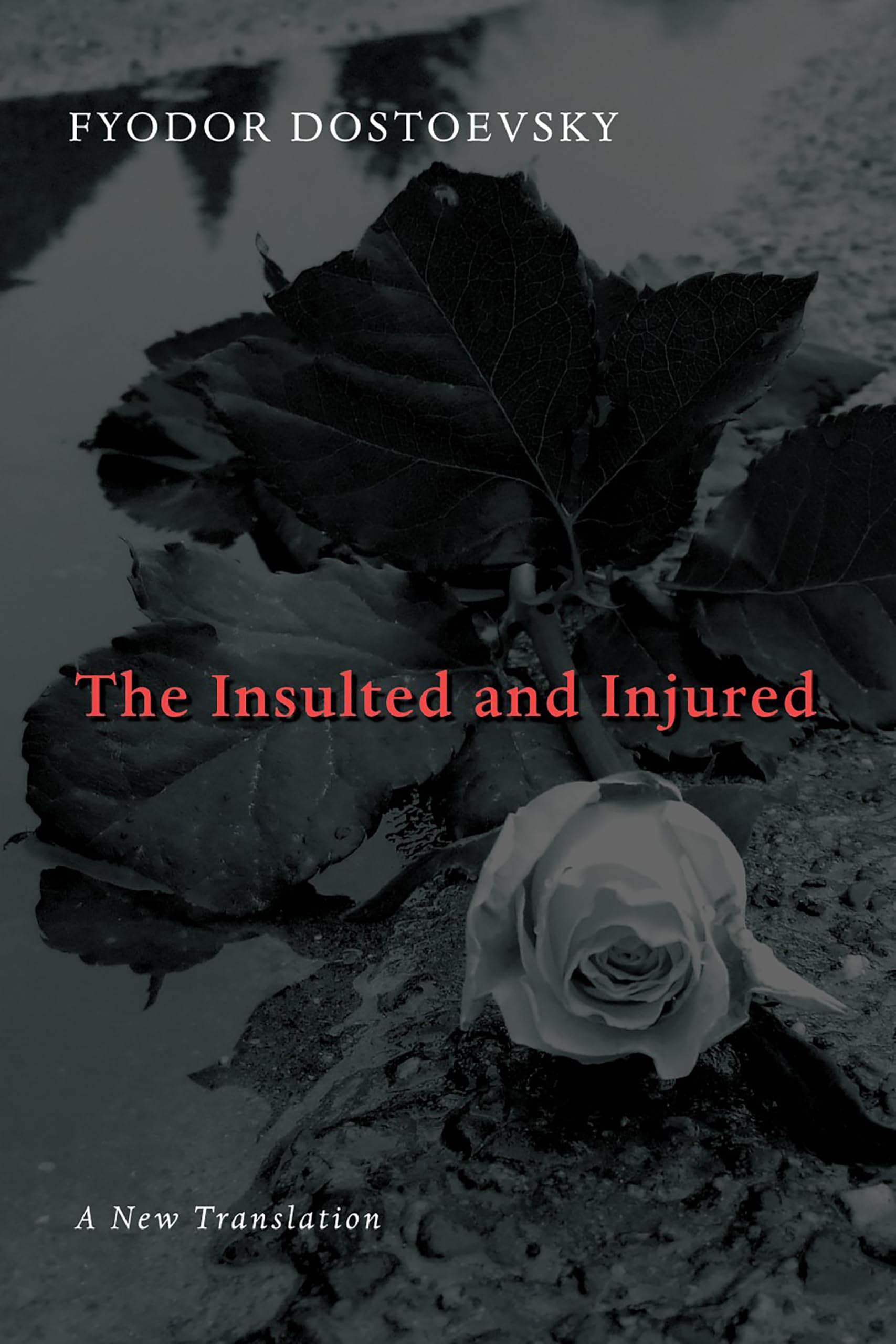 The Insulted and Injured used book depot