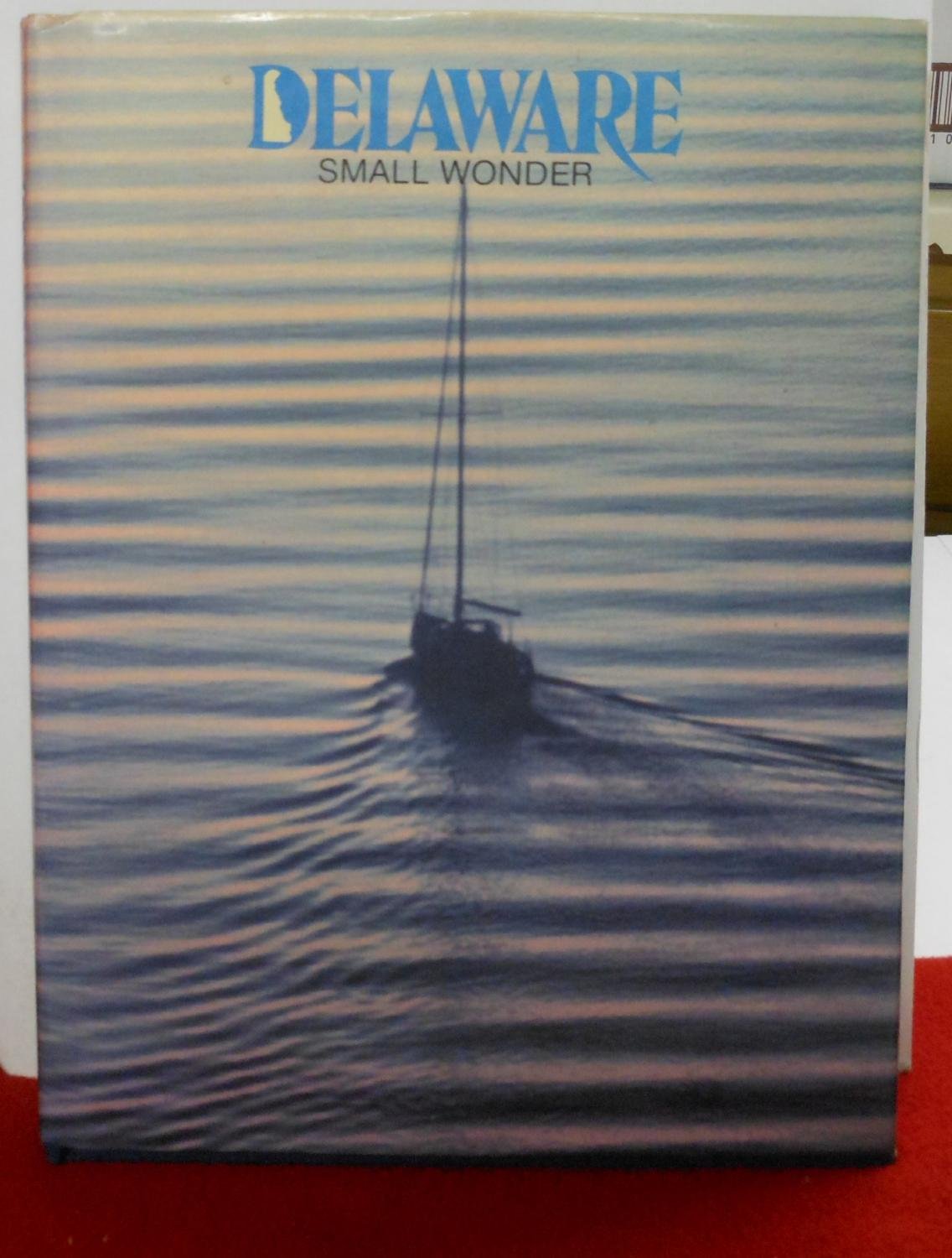 Delaware: A Small Wonder used book depot