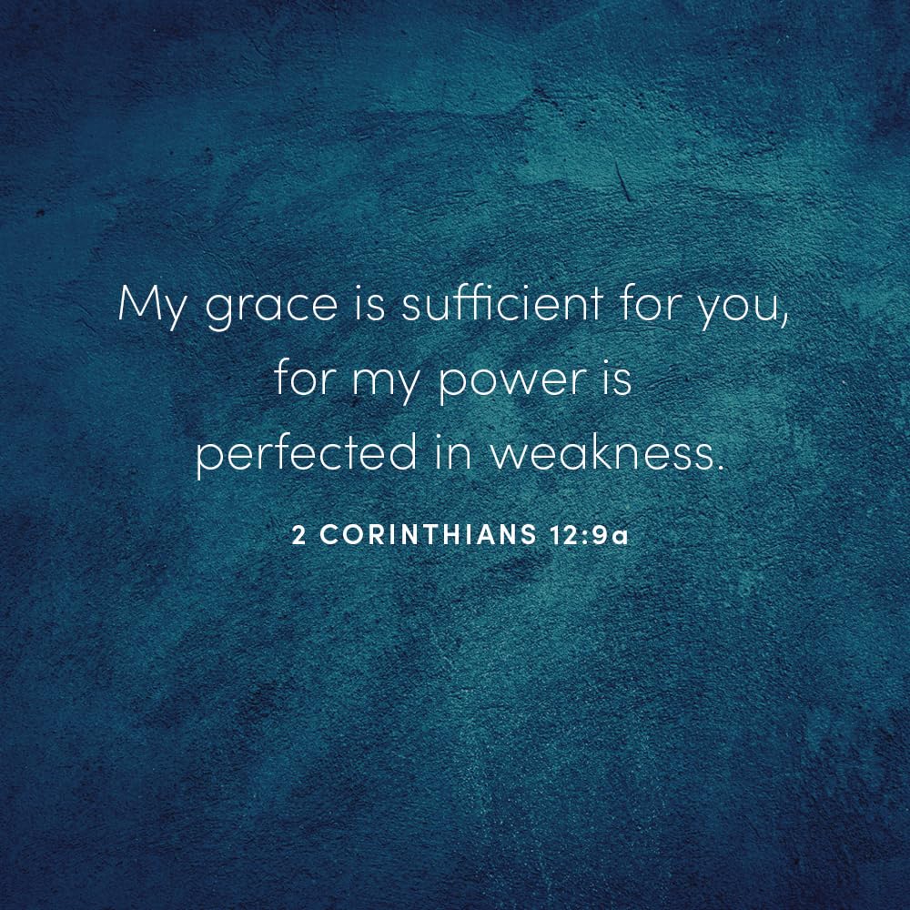 Gideon: Your Weakness. God's Strength. Bible Study Book