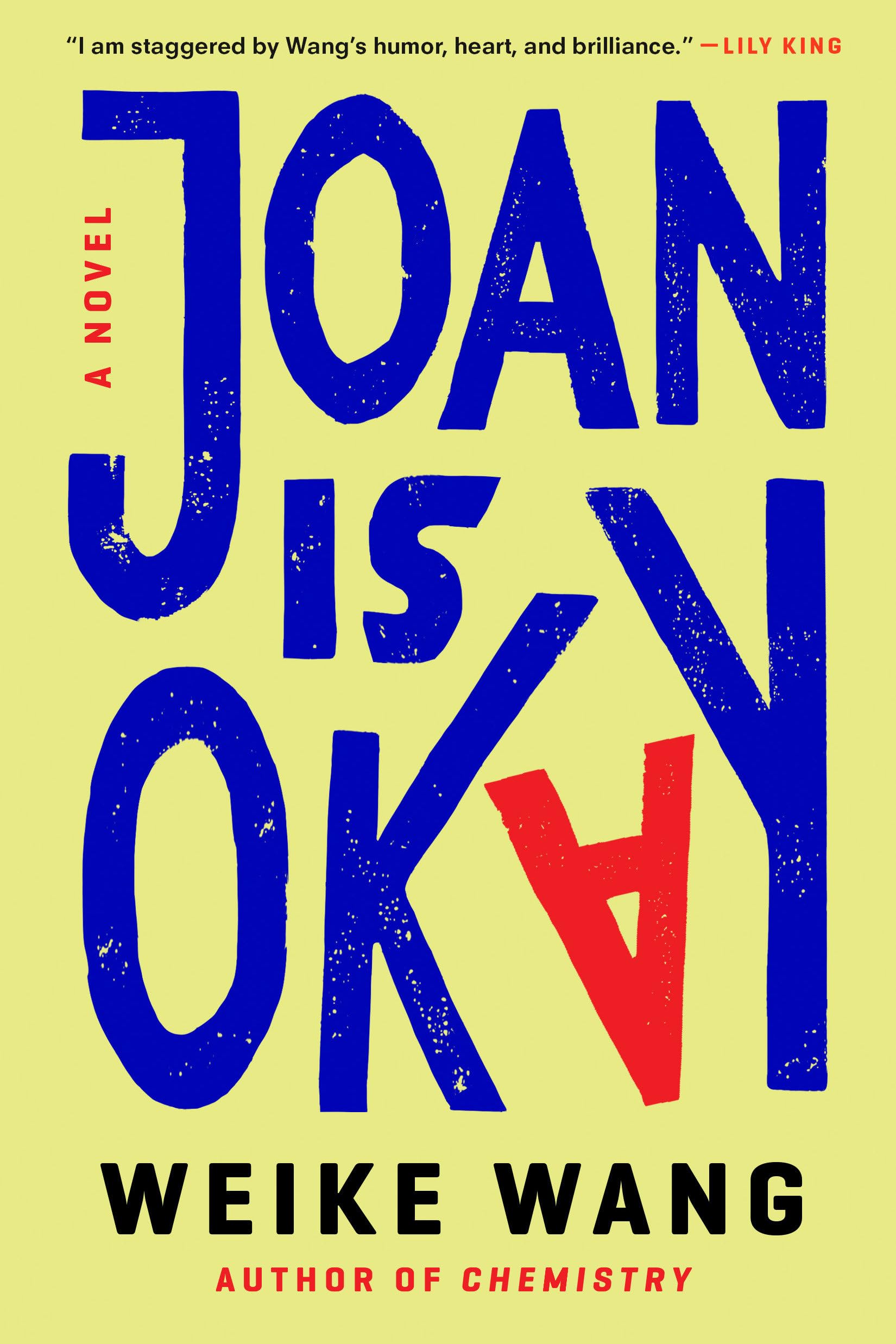 Joan Is Okay: A Novel used book depot