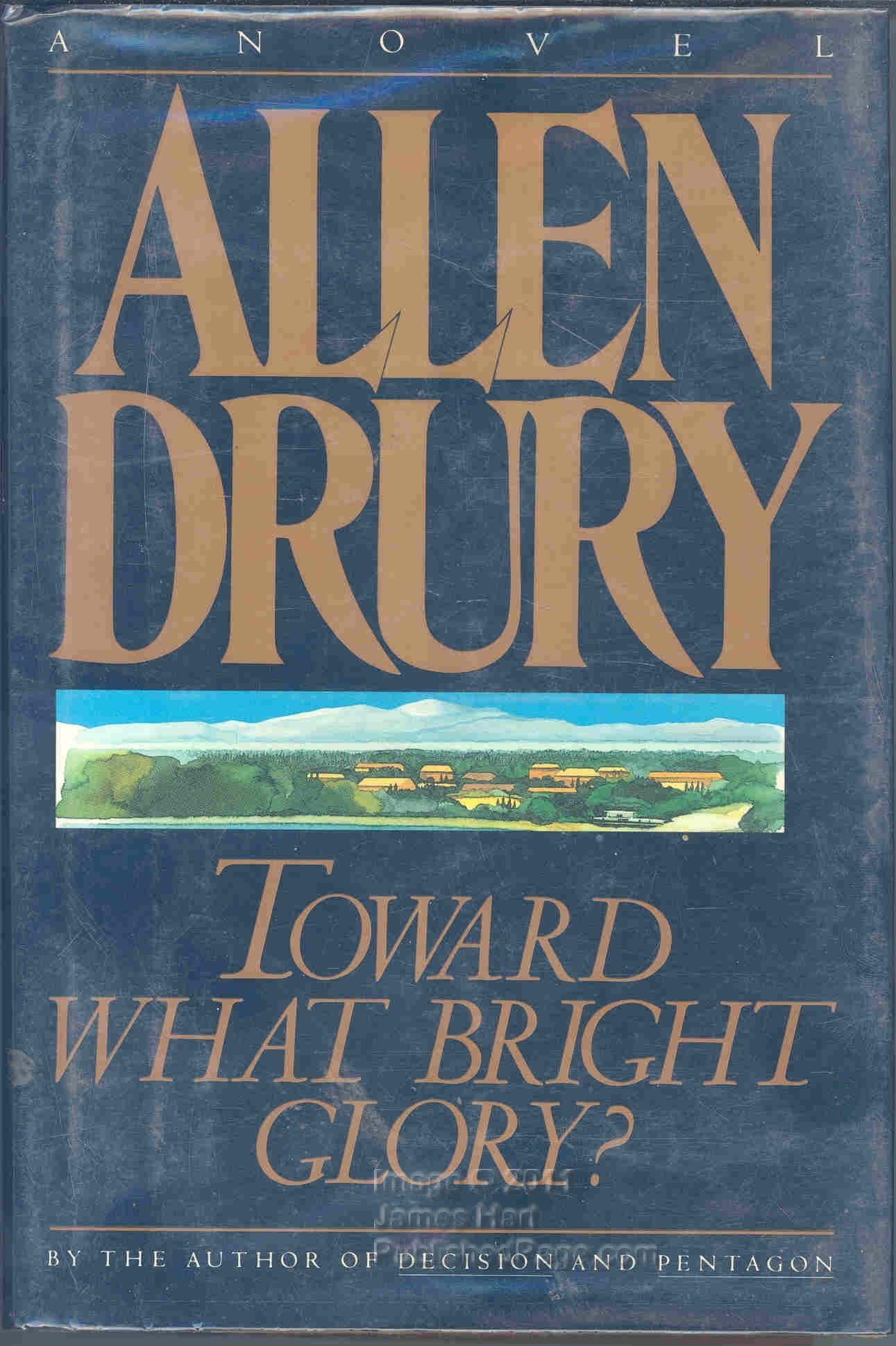 Toward What Bright Glory?: A Novel used book depot
