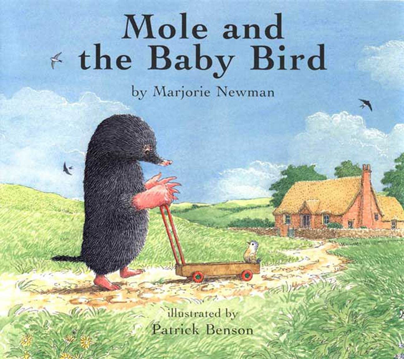 Mole and the Baby Bird used book depot