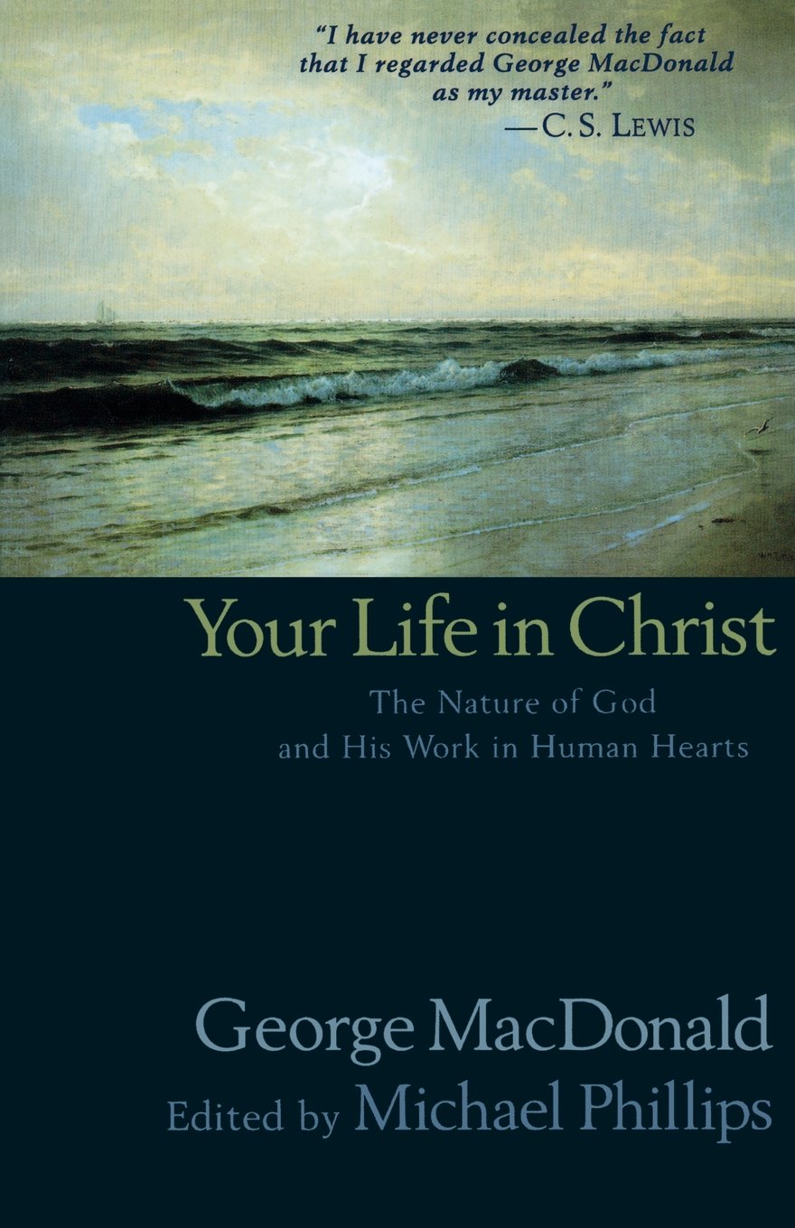 Your Life in Christ used book depot