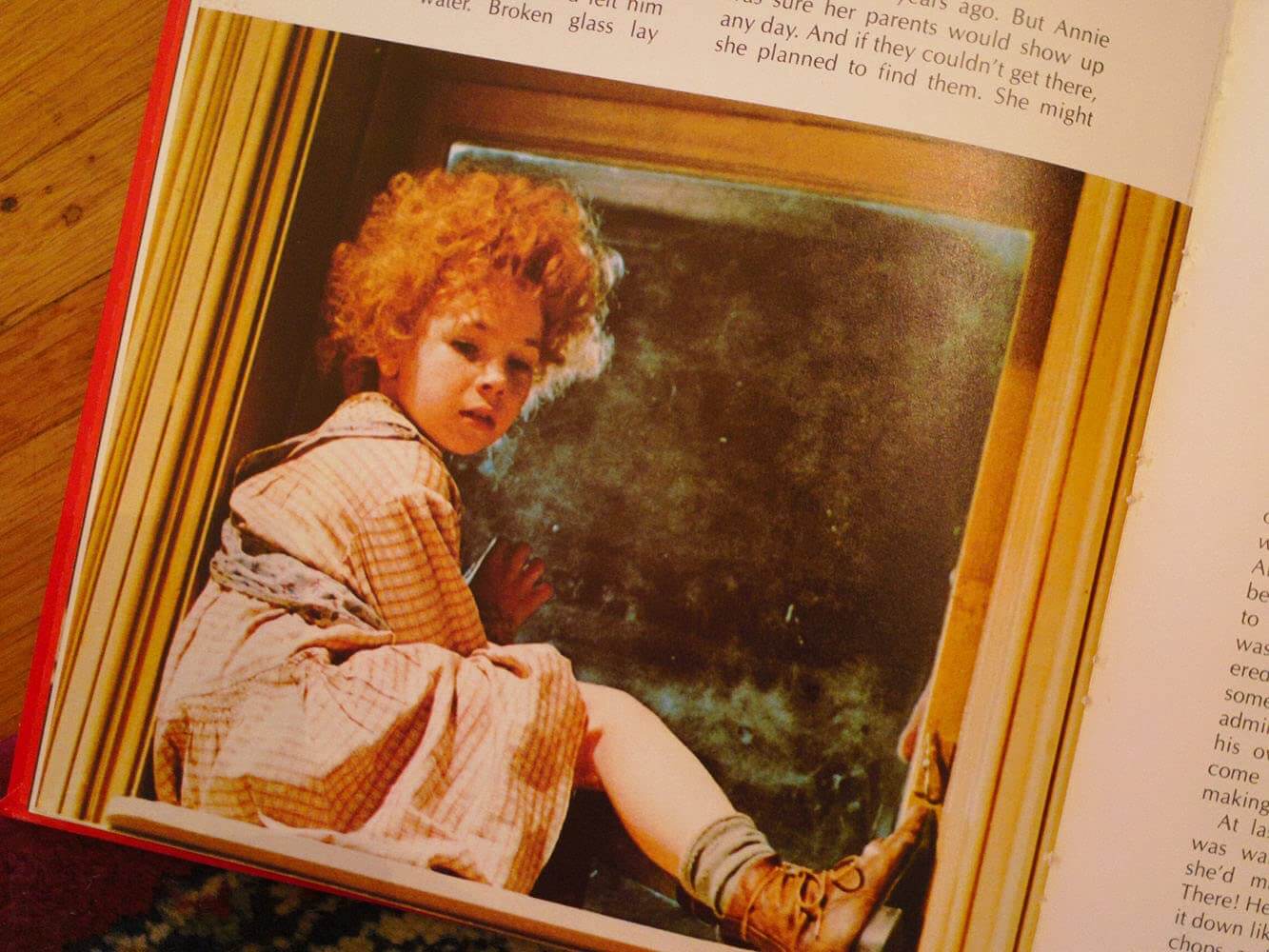 ANNIE: THE STORYBOOK BASED ON THE MOVIE used book depot