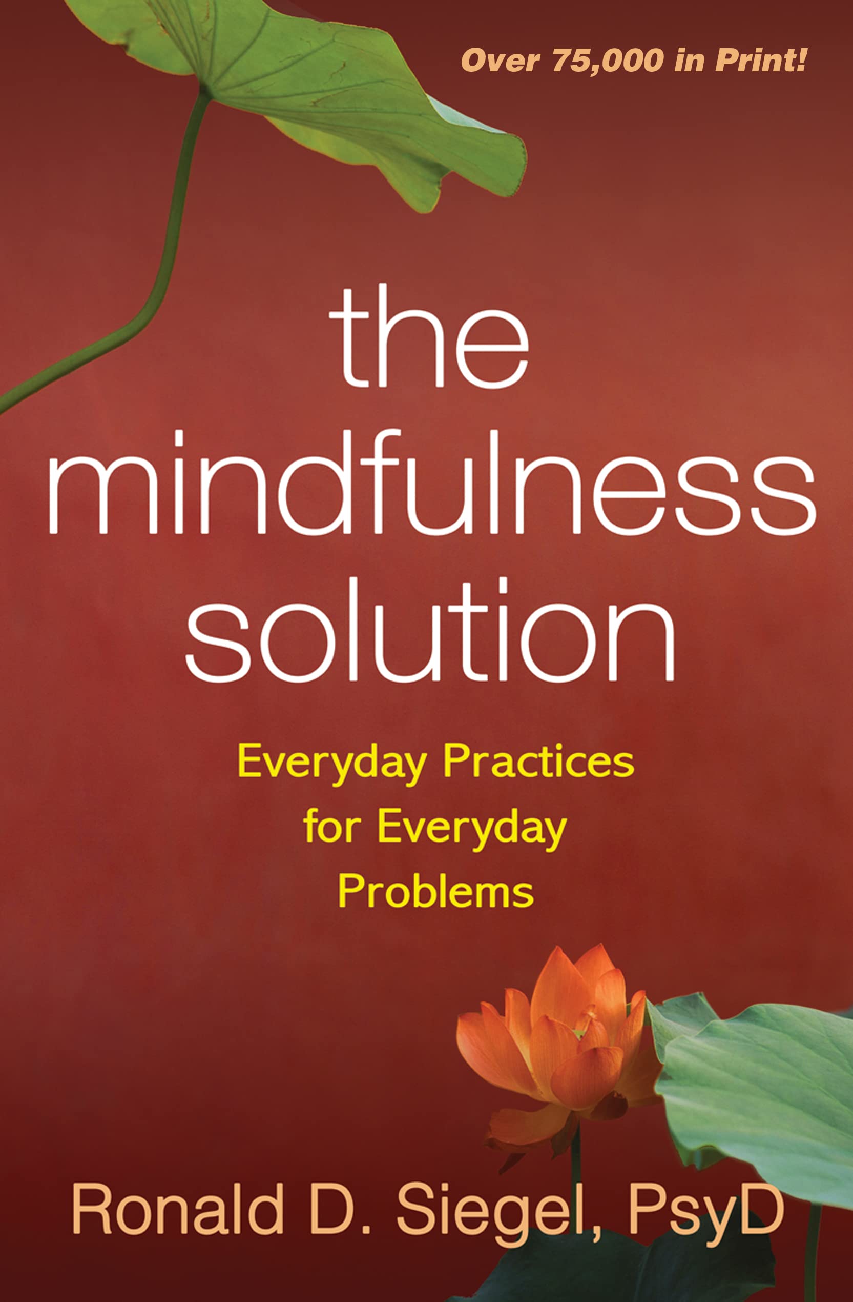 The Mindfulness Solution: Everyday Practices for Everyday Problems used book depot