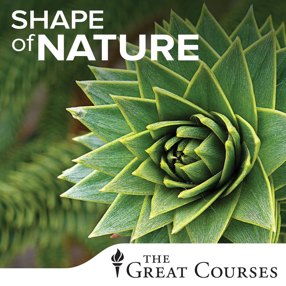 The Shape of Nature used book depot