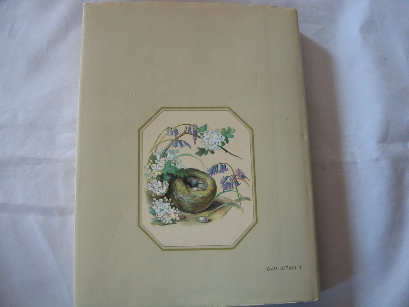 The Edwardian Lady: The Story of Edith Holden, Author of the Country Diary of an Edwardian Lady used book depot