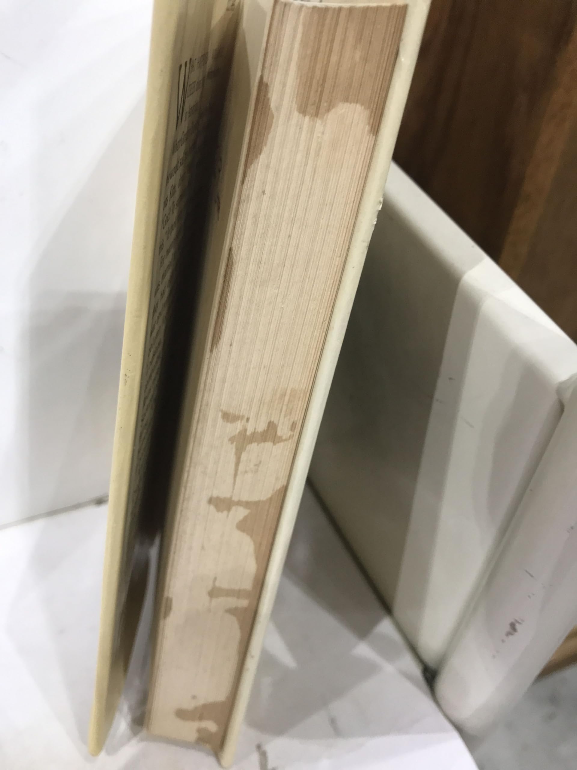 Village Creek: The first and only eyewitness account of the second life of Gordon Baxter used book depot
