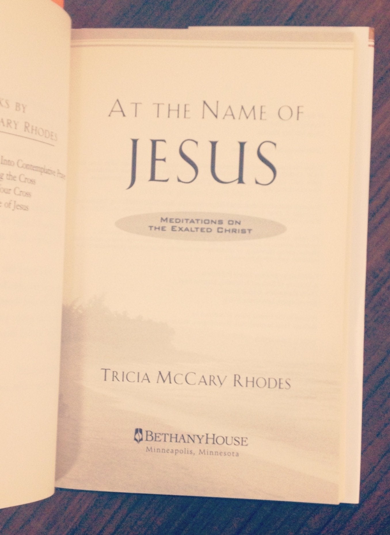 At the Name of Jesus (Meditations on the Exalted Christ) used book depot