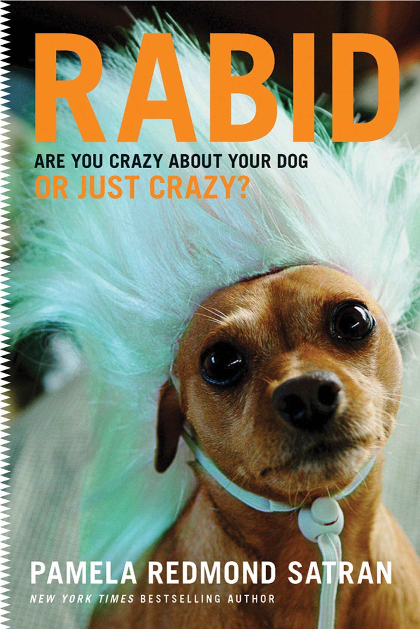 Rabid: Are You Crazy About Your Dog or Just Crazy? used book depot