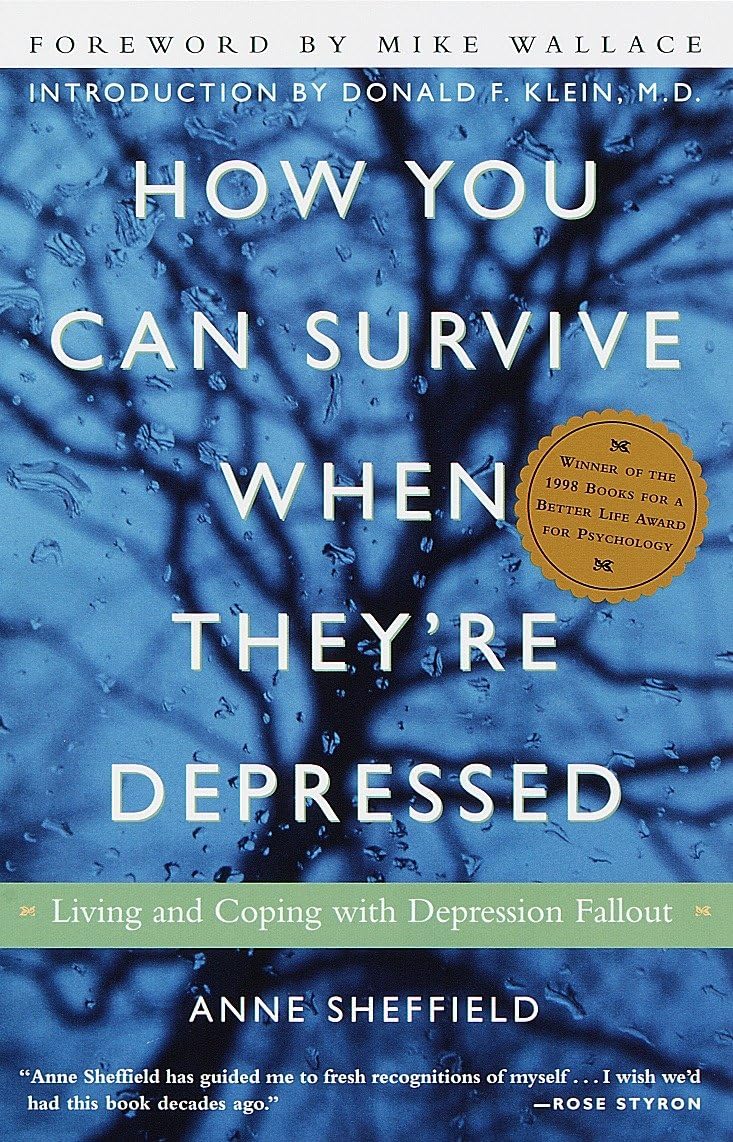 How You Can Survive When They're Depressed: Living and Coping with Depression Fallout used book depot