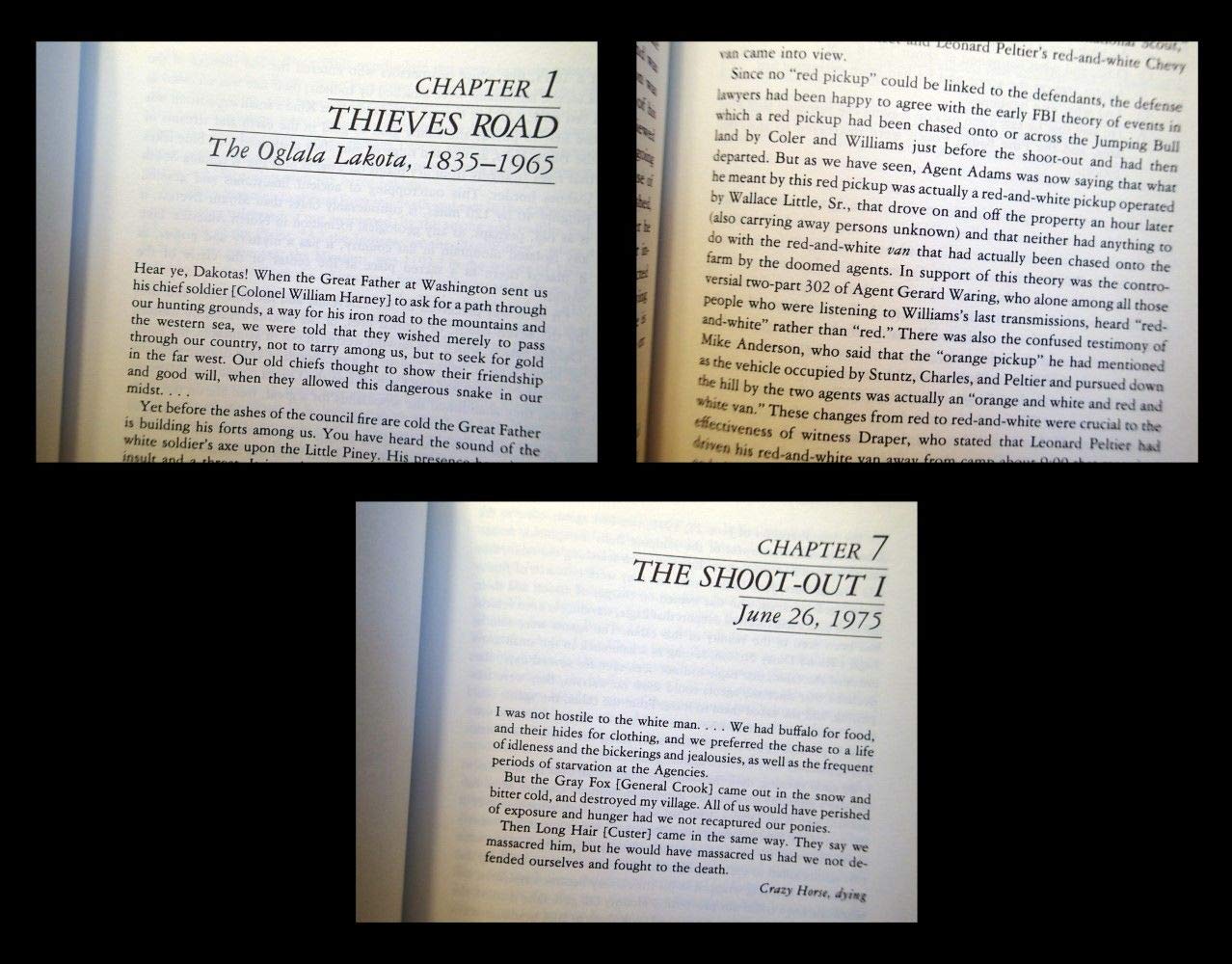 In the Spirit of Crazy Horse used book depot