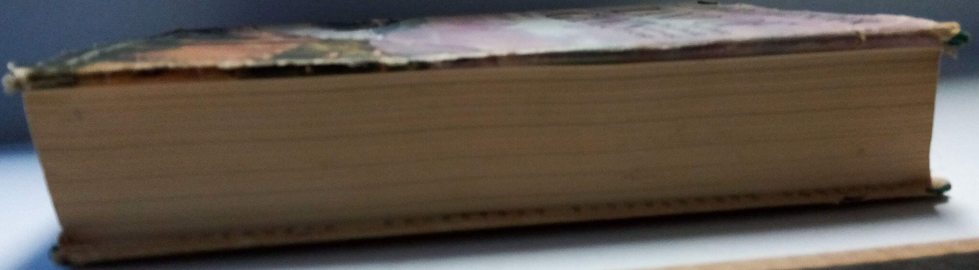 Land of Giants: Drive to the Pacific Northwest, 1750-1950 used book depot