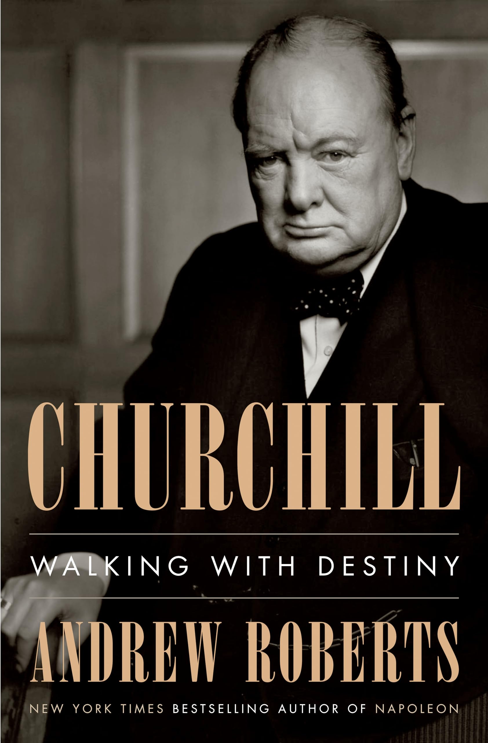 Churchill: Walking with Destiny used book depot