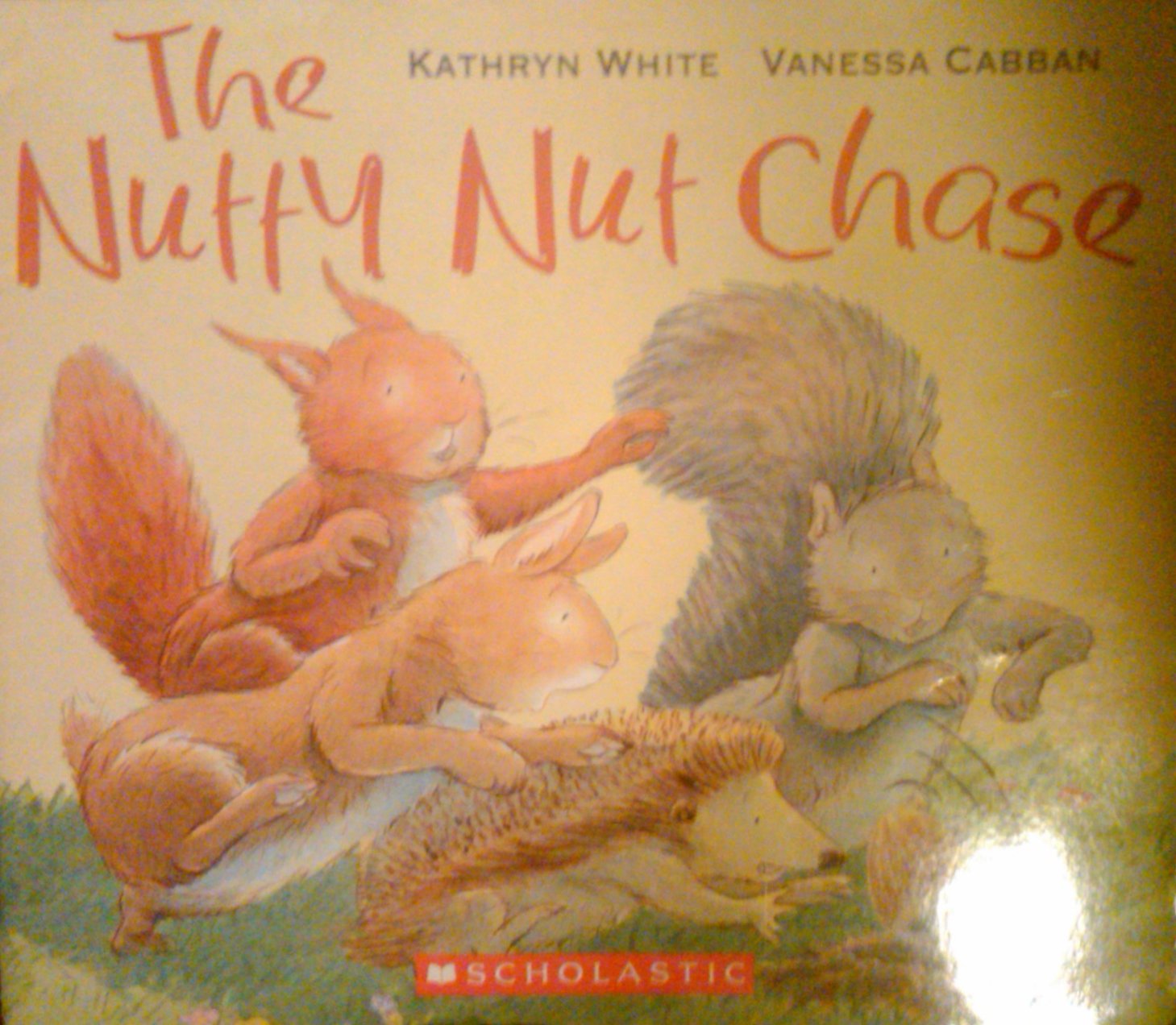 The Nutty Nut Chase used book depot