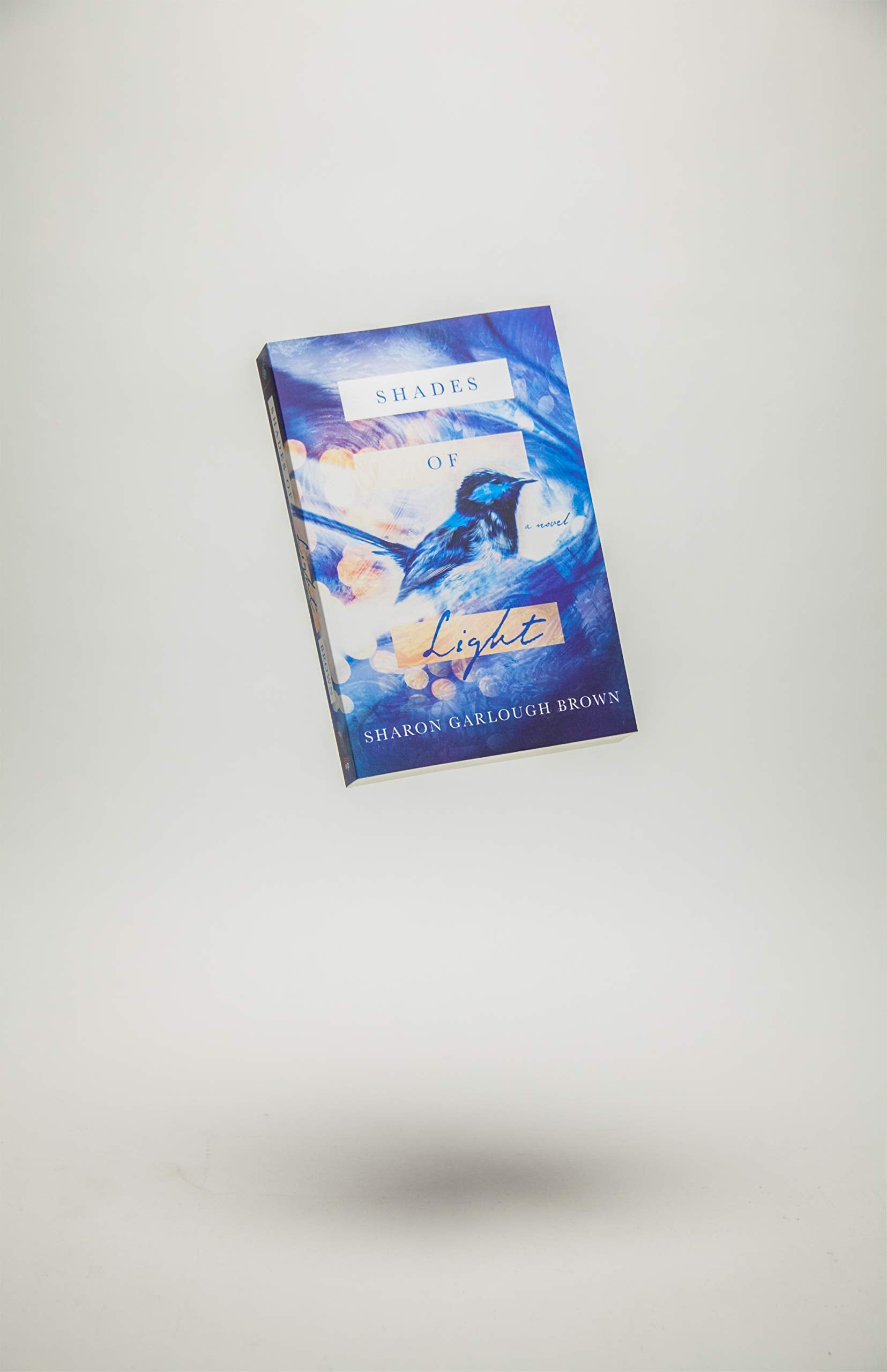 Shades of Light: A Novel used book depot