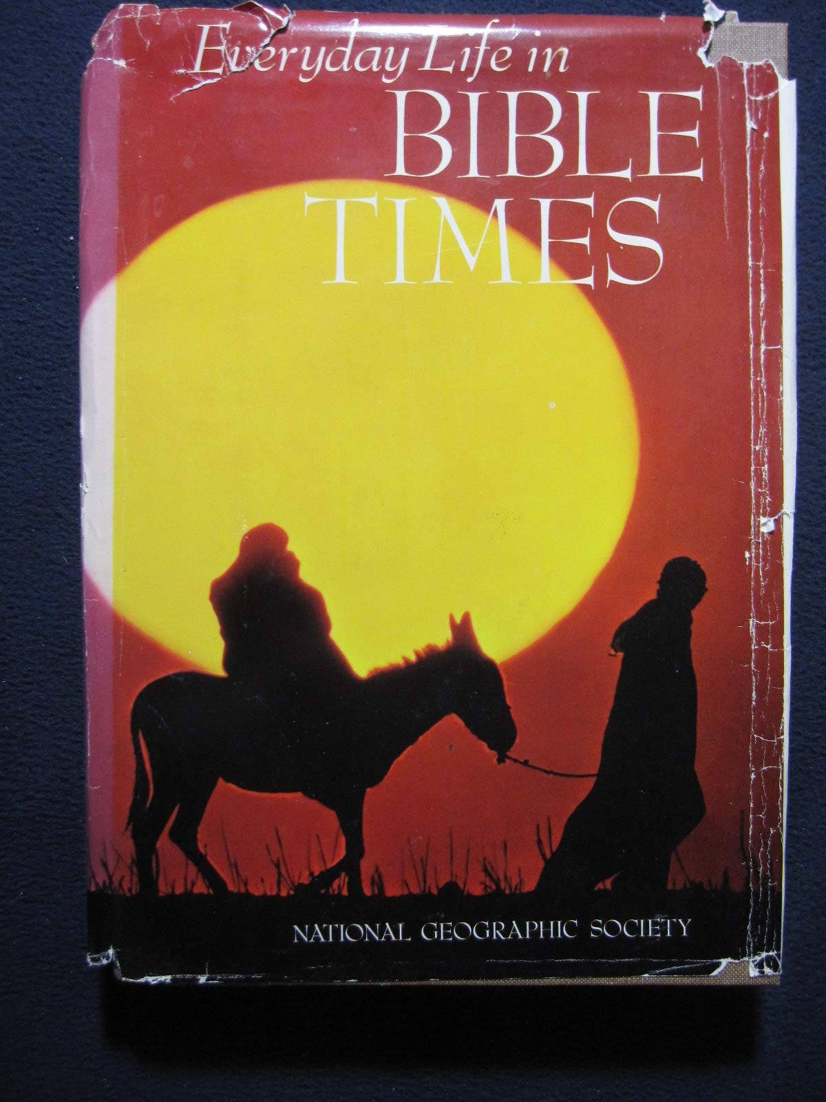 Everyday Life in Bible Times used book depot