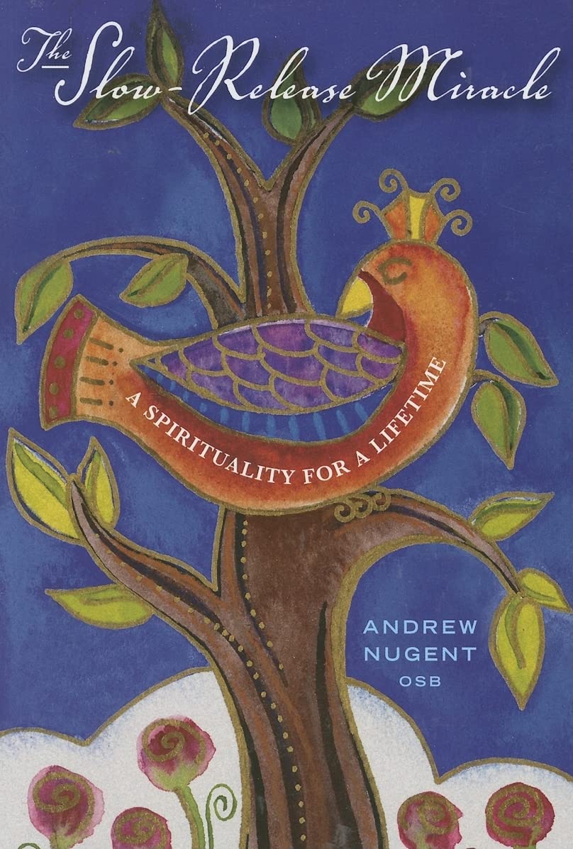 The Slow-Release Miracle: A Spirituality for a Lifetime used book depot