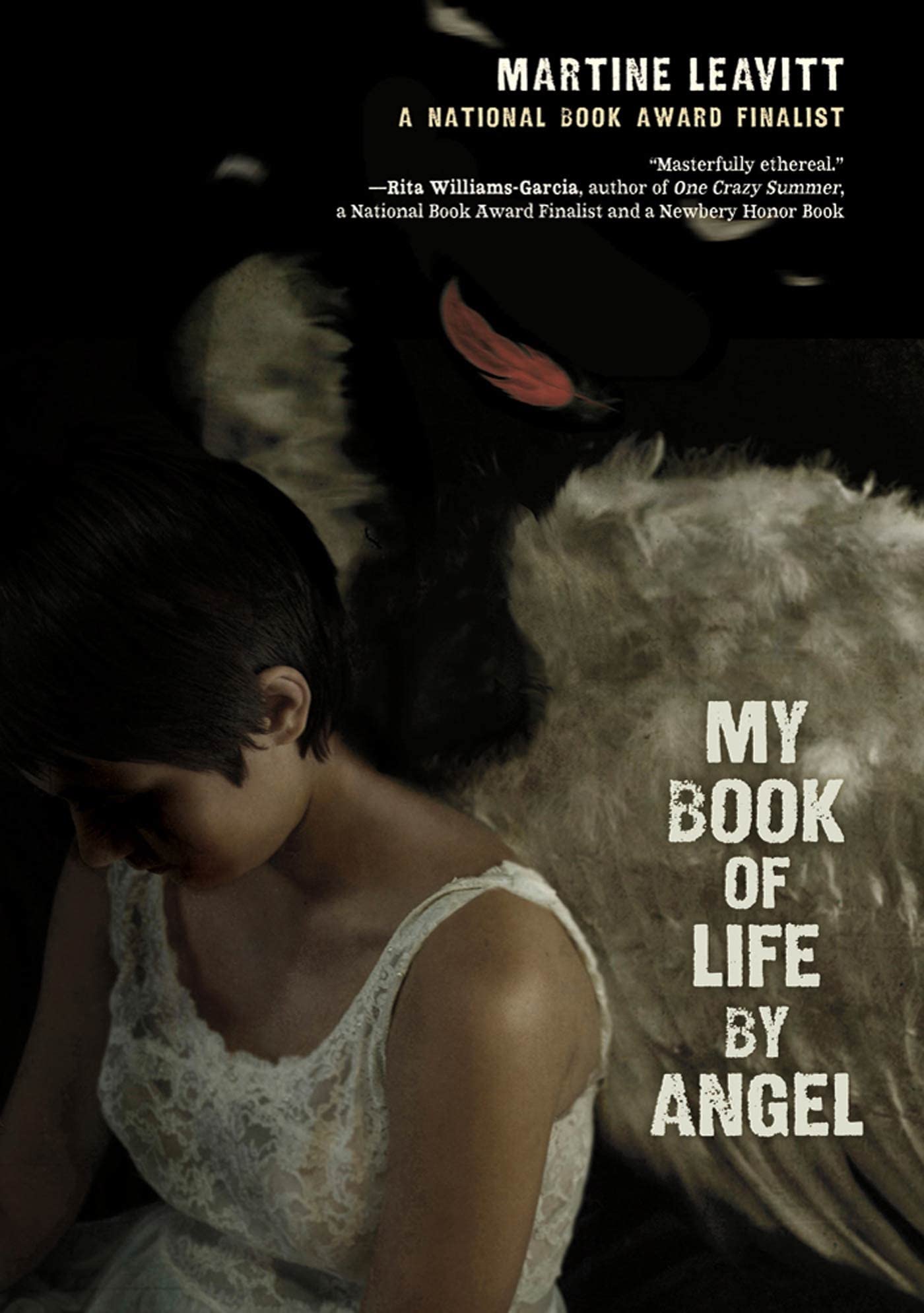 My Book of Life by Angel used book depot
