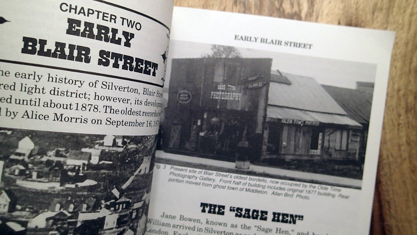 Bordellos of Blair Street: The story of Silverton, Colorado's notorious red light district used book depot