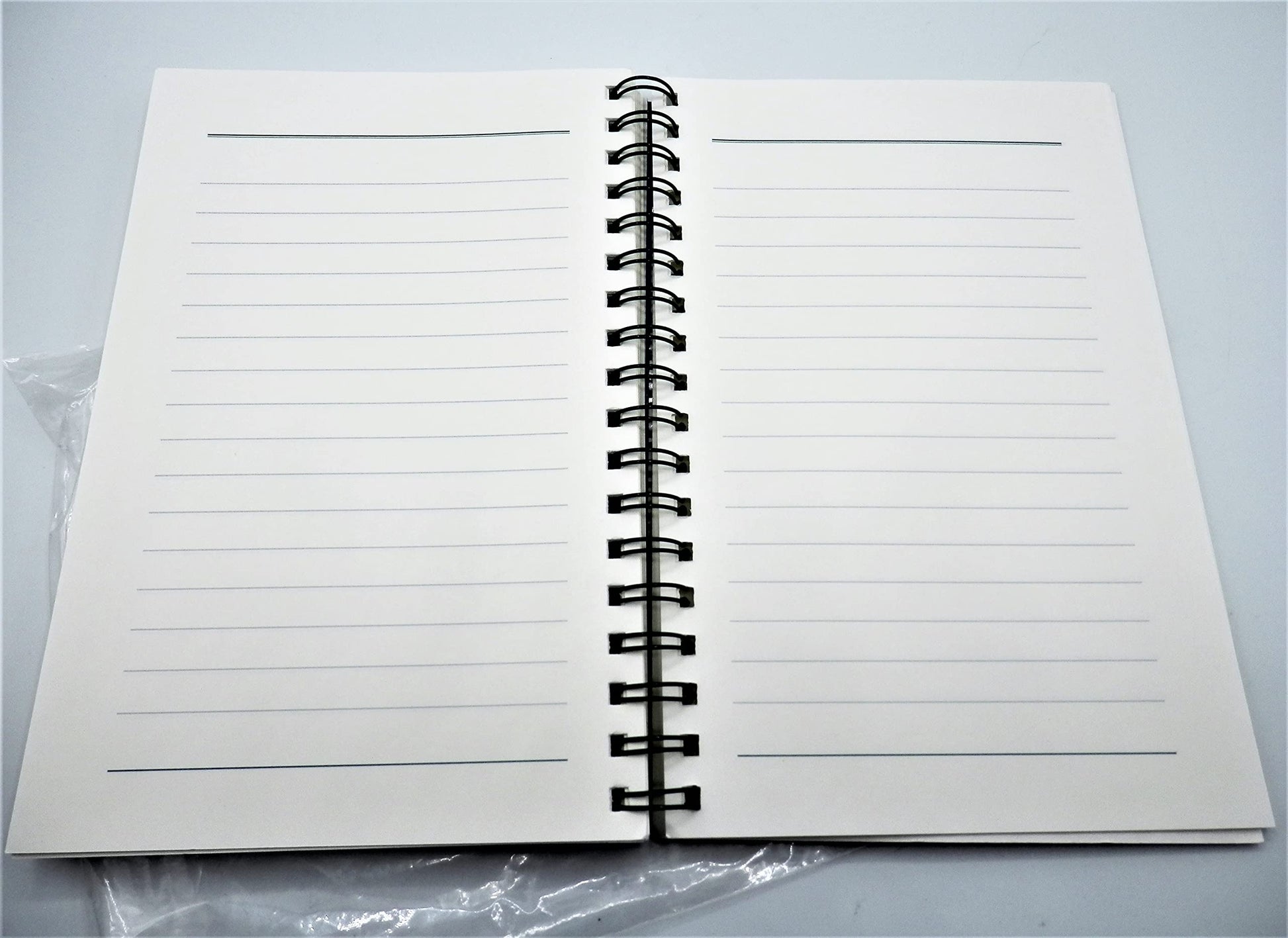 The Journal of Daily Renewal: The Companion to Make the Connection used book depot