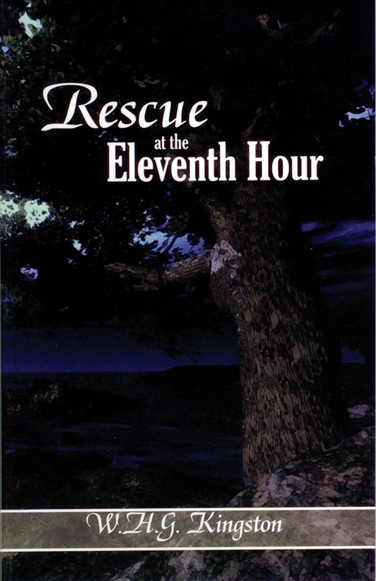 Rescue at the Eleventh Hour used book depot
