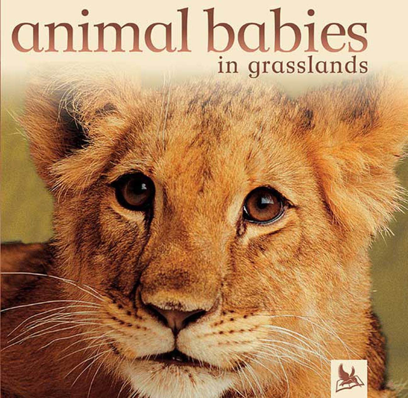 Animal Babies in Grasslands used book depot