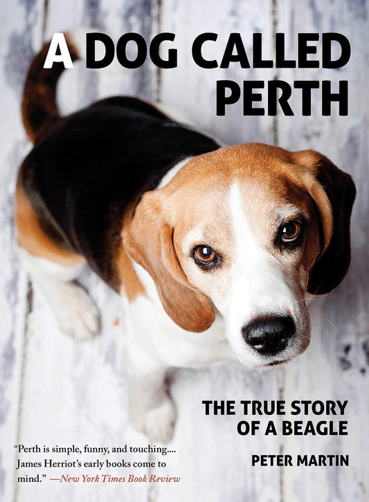 A Dog Called Perth: The True Story of a Beagle [Paperback] Martin, Peter