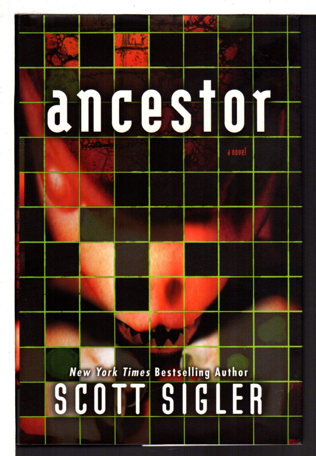 Ancestor: A Novel used book depot