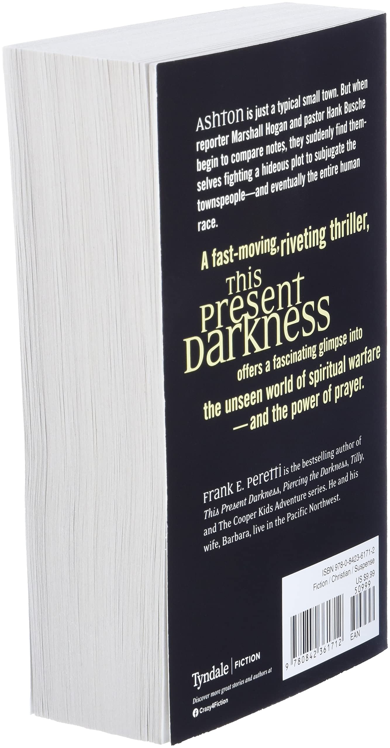 This Present Darkness used book depot