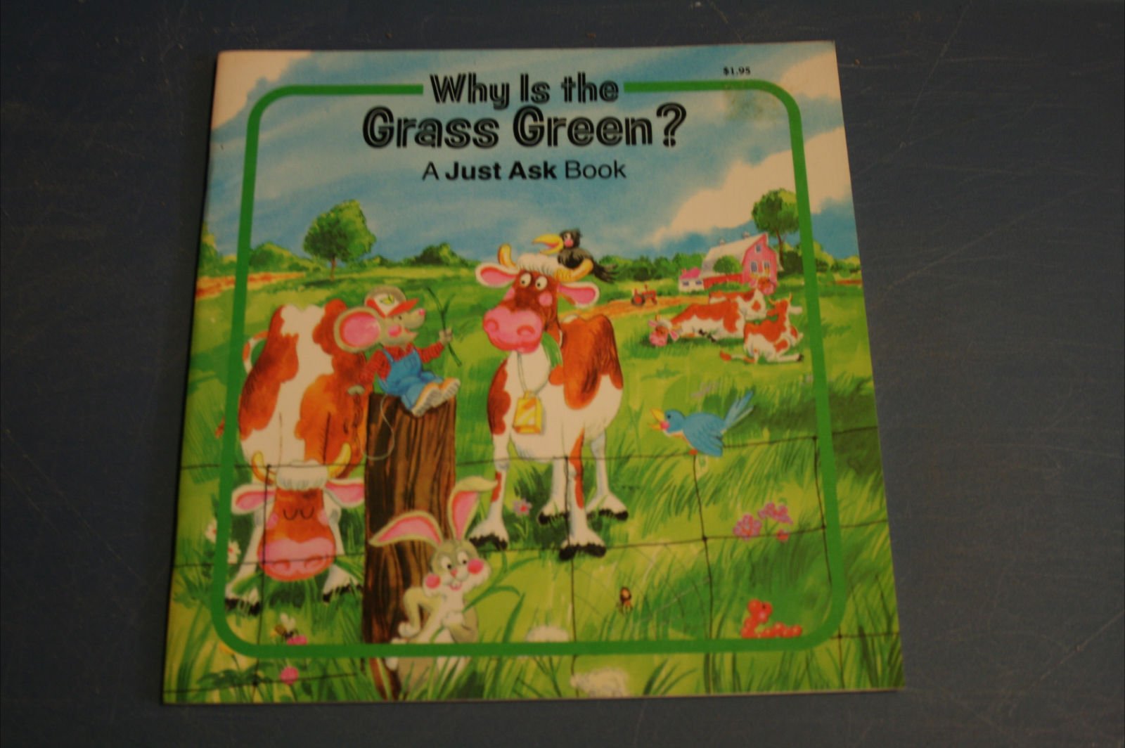 Why Is the Grass Green? used book depot