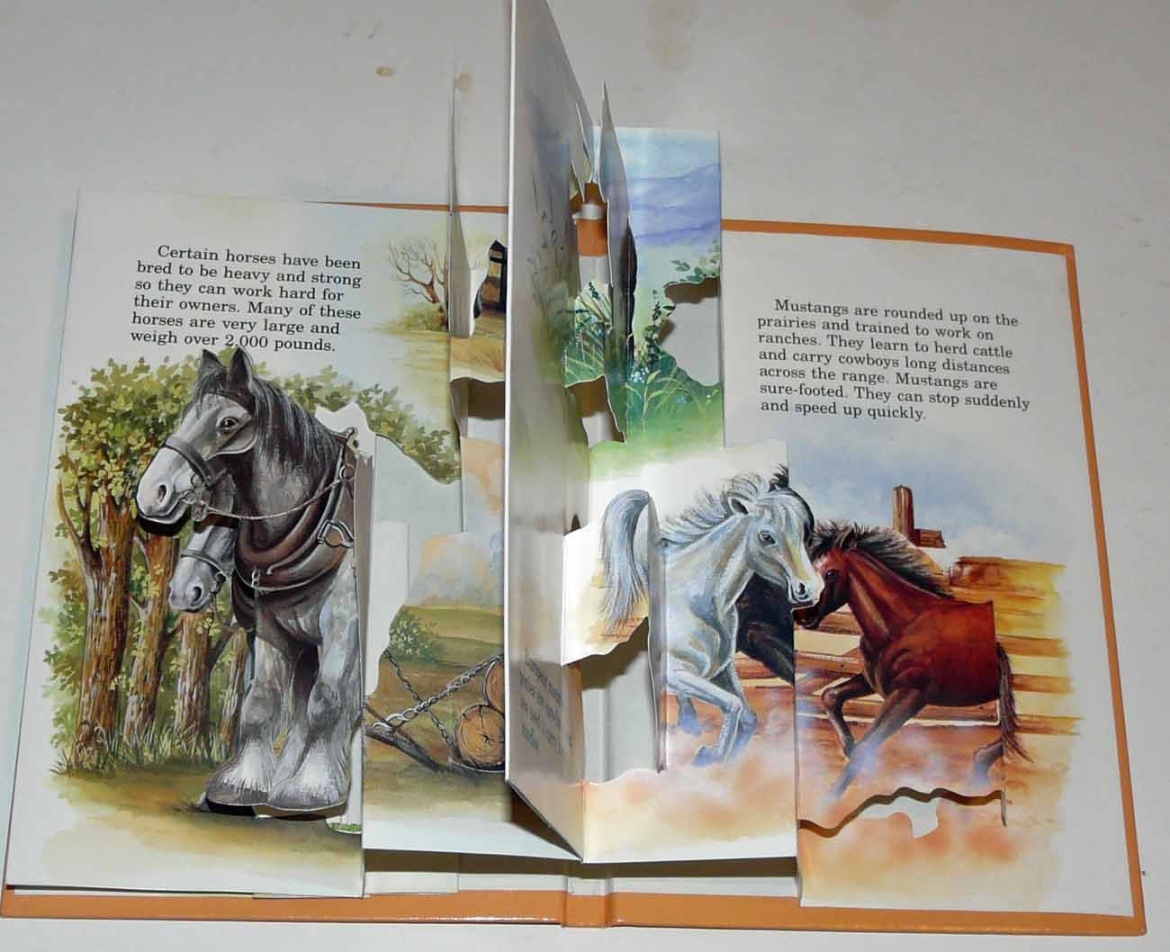 Horses A POP-UP Book (POP-UP Series)