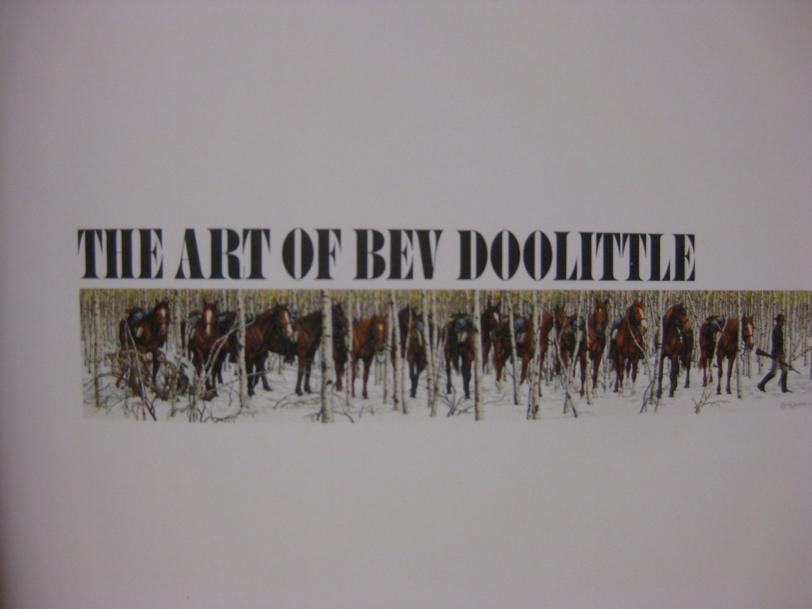The Art of Bev Doolittle used book depot