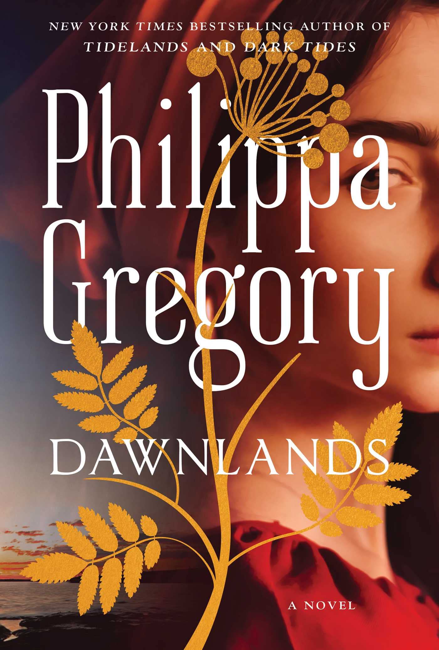 Dawnlands: A Novel (3) (The Fairmile Series) used book depot