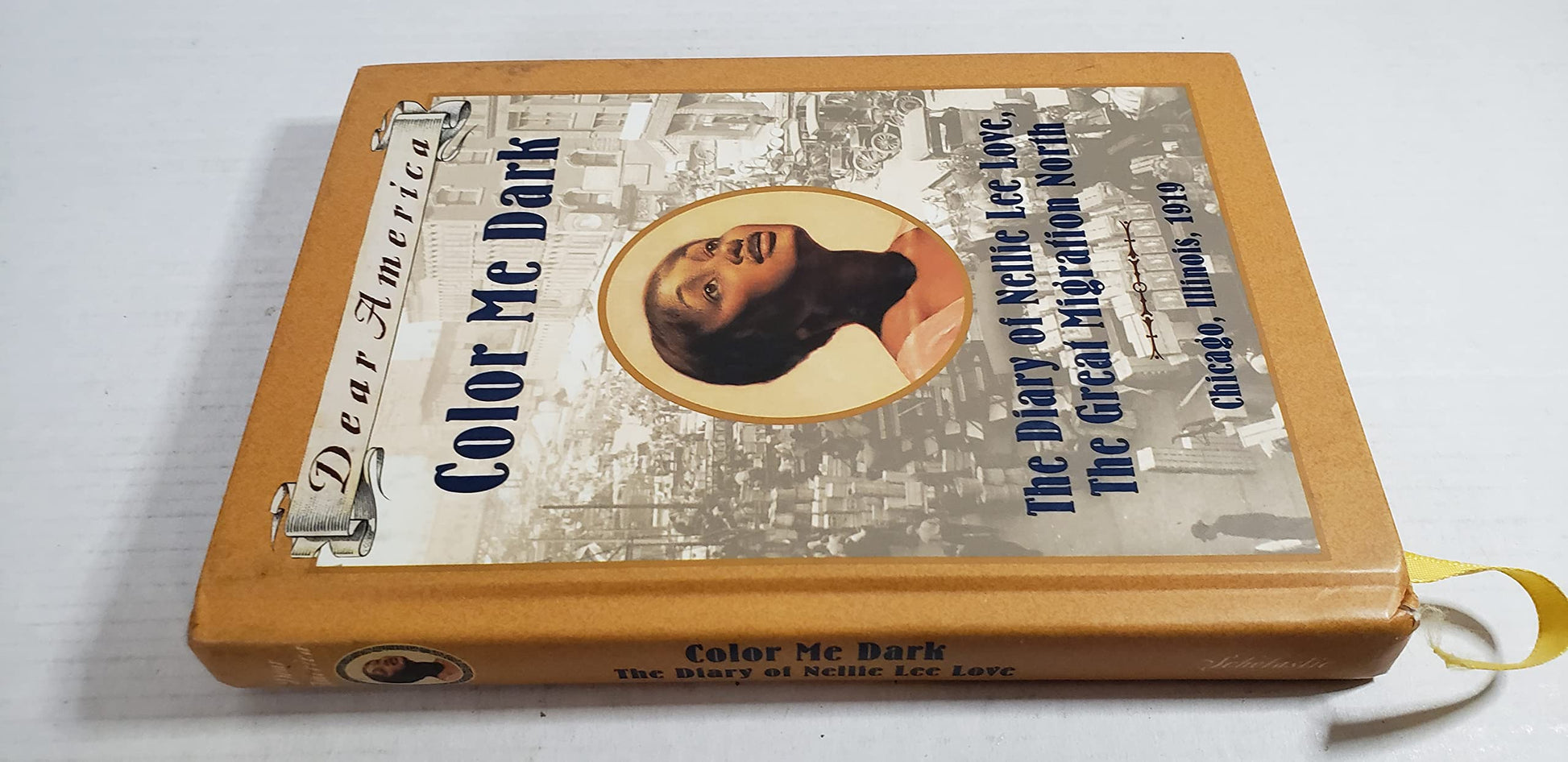 Color Me Dark: The Diary of Nellie Lee Love, the Great Migration North (Dear America) used book depot