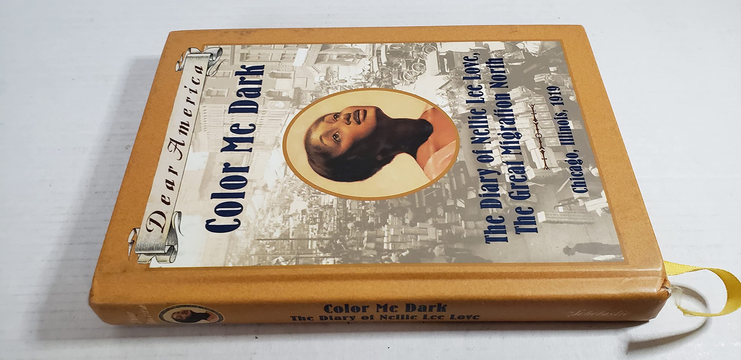 Color Me Dark: The Diary of Nellie Lee Love, the Great Migration North (Dear America) used book depot