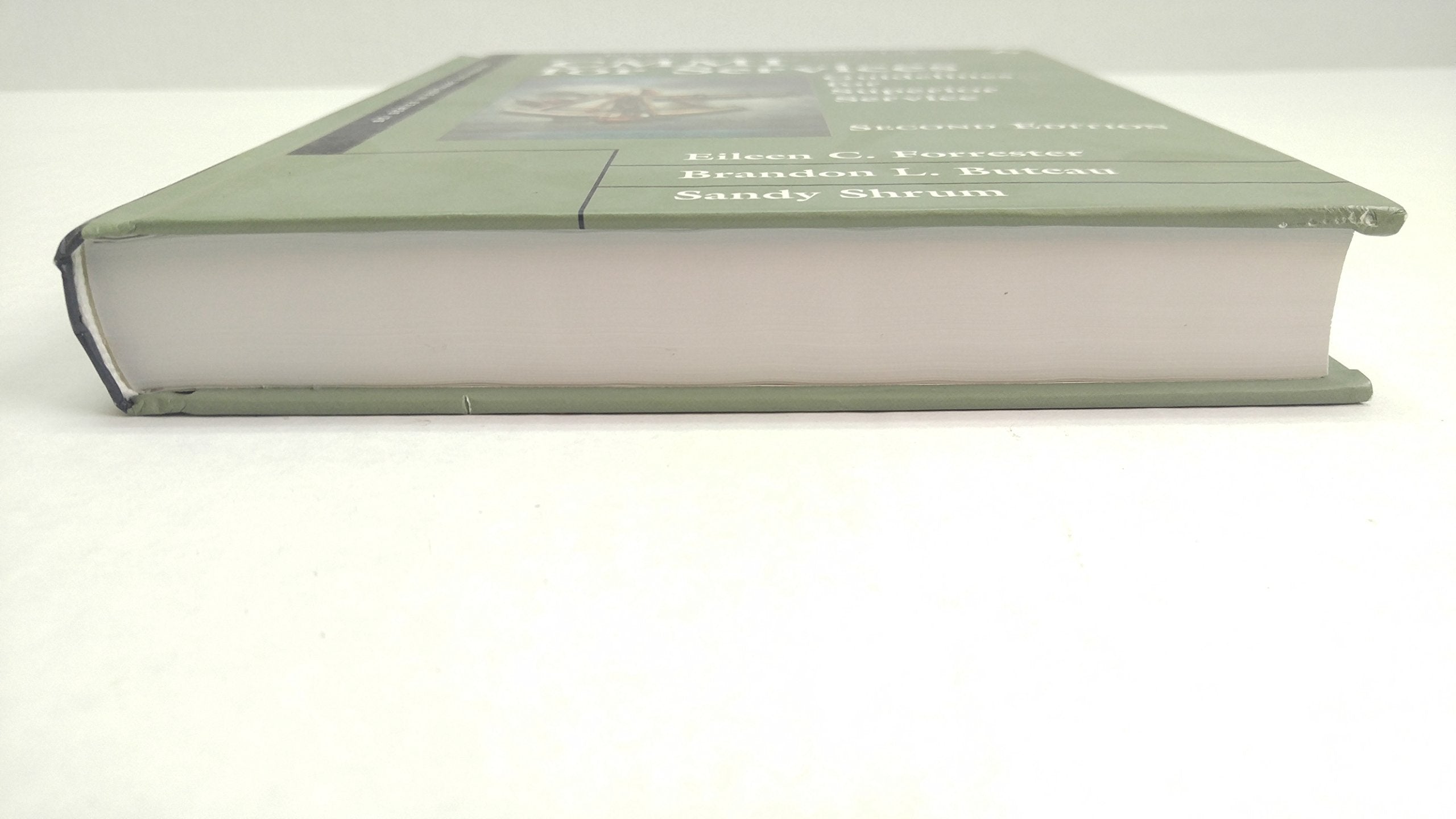 CMMI for Services: Guidelines for Superior Service (SEI Series in Software Engineering) used book depot